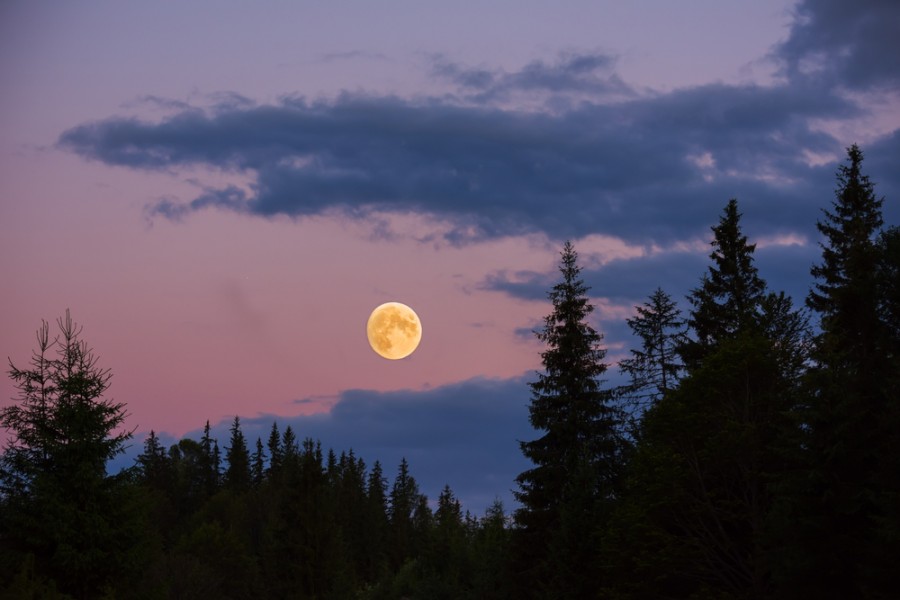 Quelle est la date de la prochaine nouvelle lune ?